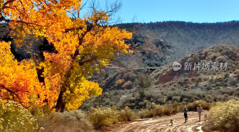慢跑者和狗跑史密森尼Butte风景Backway Rockville犹他州